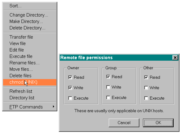 CHMODE-Einstellung unter WS_FTP