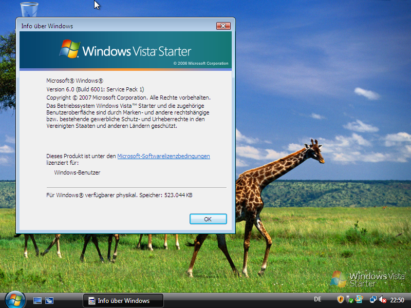 Vista Starter Desktop